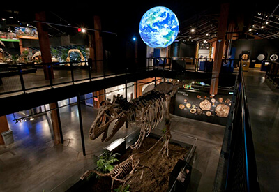 Houston Museum Natural Science Coupons