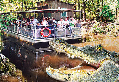 Jean Lafitte Swamp Tour