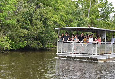 Jean Lafitte Swamp Tour