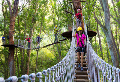 Kohala Zipline Adventure Hawaii Coupons