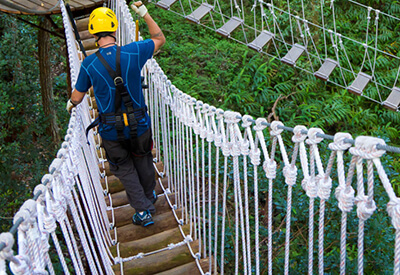 Kohala Zipline Adventure Hawaii Coupons