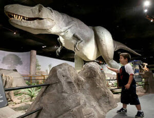 Las Vegas Natural History Museum Coupons