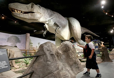 Las Vegas Natural History Museum Coupons