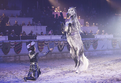 Medieval Times Dinner Tournament Myrtle Beach Coupons