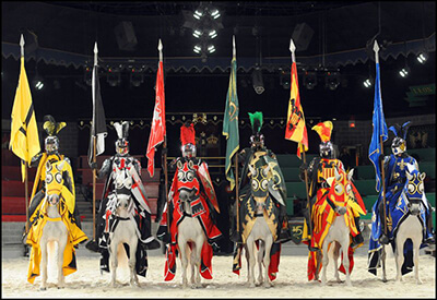 Medieval Times Dinner Tournament New Jersey Coupons