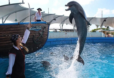 Miami Seaquarium Coupons