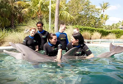 Miami Seaquarium Coupons