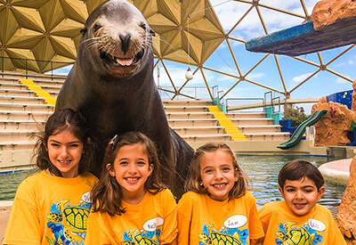 Miami Seaquarium Coupons