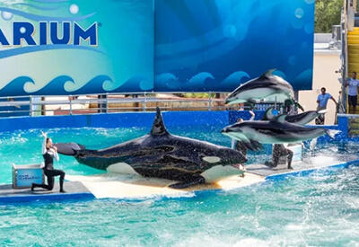 Miami Seaquarium Coupons