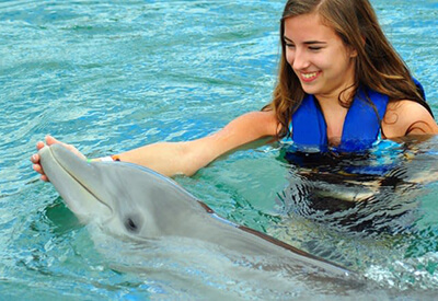 Miami Seaquarium Dolphin Odyssey Coupons