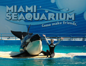 Miami Seaquarium Zoo Miami Package Coupons