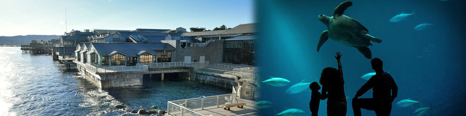 Monterey Bay Aquarium Coupons
