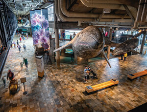 Monterey Bay Aquarium Coupons