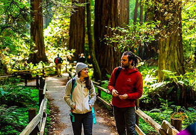 Muir Woods Sausalito Half Day Tour Coupons