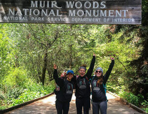 Muir Woods Sonoma Wine and Beer Tour Coupons