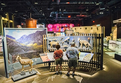 Nevada State Museum Coupons