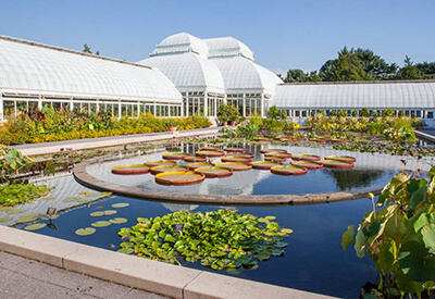 New York Botanical Garden Coupons