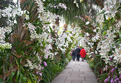 New York Botanical Garden Coupons