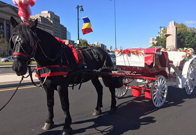 Philadelphia 30 Minute Carriage Tour Coupons