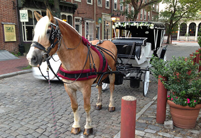 Philadelphia 30 Minute Carriage Tour Coupons