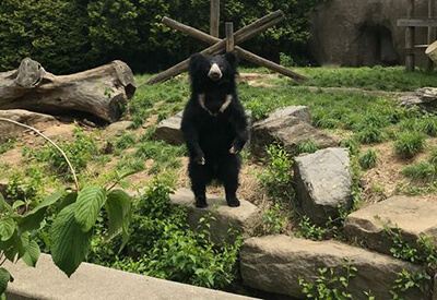 Philadelphia Zoo Coupons