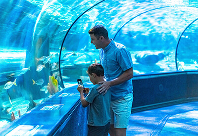 Ripley’s Aquarium Myrtle Beach Coupons