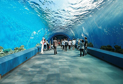 Ripley’s Aquarium Myrtle Beach Coupons