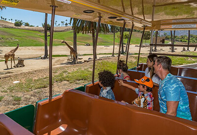 San Diego Zoo Safari Park Coupons