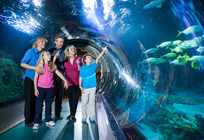 Sea Life Orlando Coupons