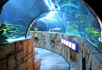 Sea Life San Diego California Coupons