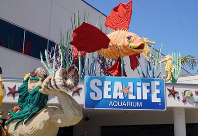 Sea Life San Diego California Coupons