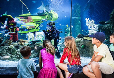 Sea Life San Diego California Coupons