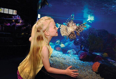 Sea Life San Diego California Coupons