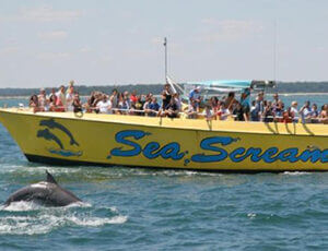 Sea Screamer Myrtle Beach Dolphin Cruises Coupons