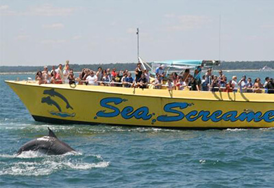 Sea Screamer Myrtle Beach Dolphin Cruises Coupons