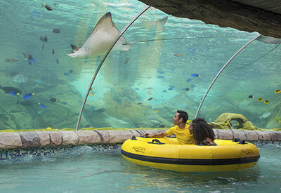 SeaWorld San Antonio Coupons