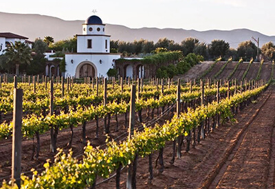 Baja Wine Country Tours Coupons