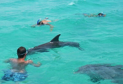 Swim Journey Panama City Beach Coupons
