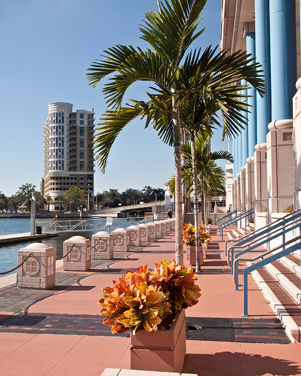 Tampa Attractions