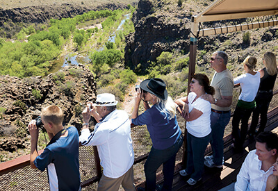 Verde Canyon Railroad Coupons