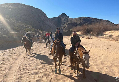 Wild West Horseback Adventures Coupons