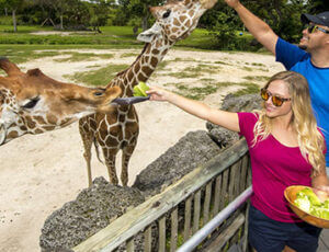 Zoo Miami Everglades Tour Coupons