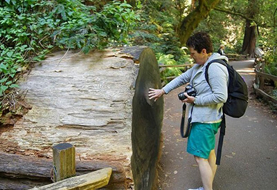 Coastal Redwoods Tour Coupons