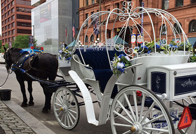 Deluxe Carriage Tour Philadelphia Coupons