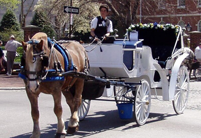 Deluxe Carriage Tour Philadelphia Coupons