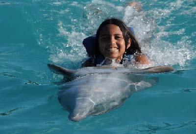 Dolphin Encounter Panama City Beach Coupons