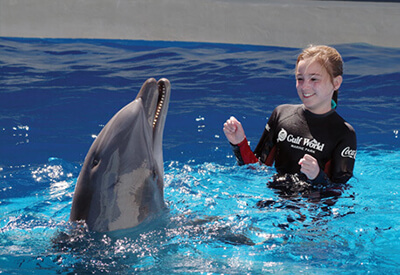 Dolphin Encounter Panama City Beach Coupons