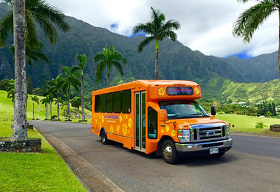 East Oahu Shoreline Tour Coupons