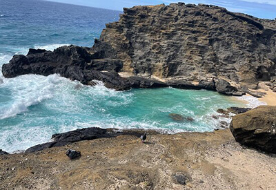 East Oahu Shoreline Tour Coupons