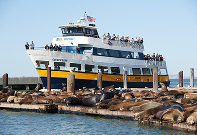 Escape Rock Cruise San Francisco Coupons